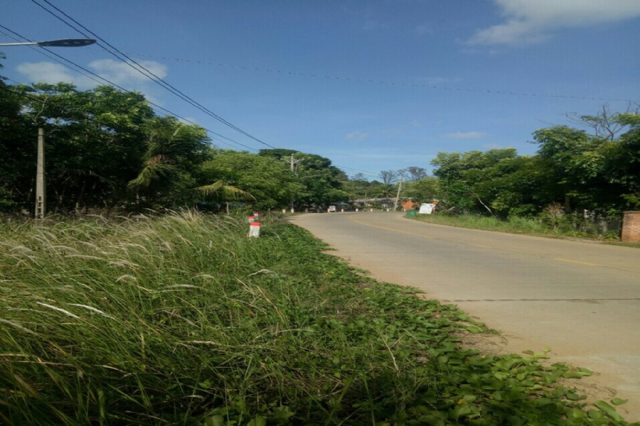 3000m2 ông lang làng tây làm resort đẳng cấp, giá 15ty/cong, siêu rẻ 2